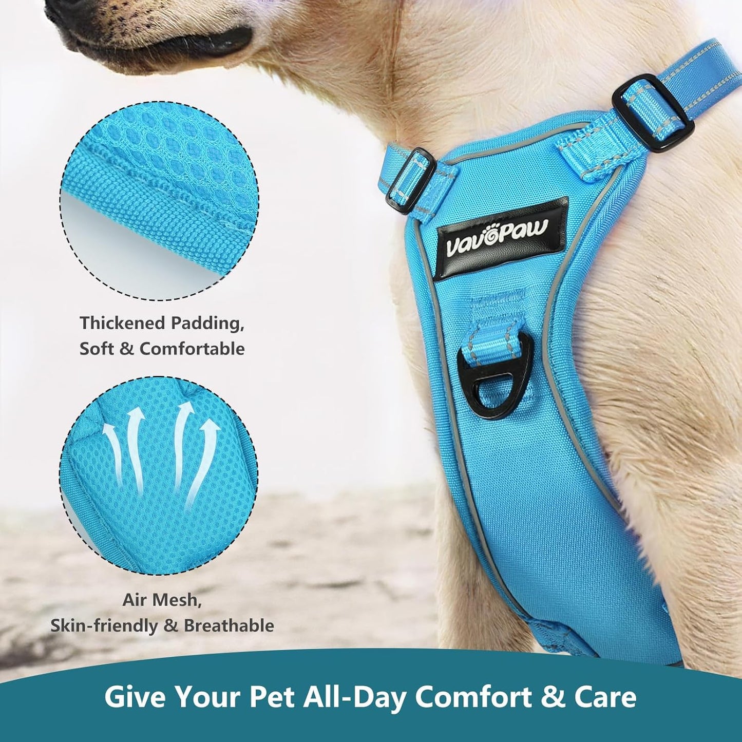 Dog Seat Belt Harness for Car, Dog Car Harness Adjustable Mesh Breathable & Dogs Seatbelt Safety Tether with Elastic Bungee for Small Medium Large Pets(Blue, M)