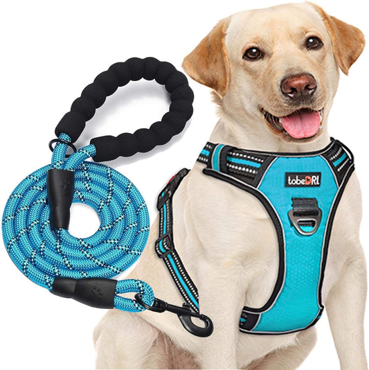 No Pull Dog Harness Adjustable Reflective Oxford Easy Control Medium Large Dog Harness with A Free Heavy Duty 5ft Dog Leash (S (Neck: 13"-18", Chest: 17.5"-22"), Blue Harness+Leash)