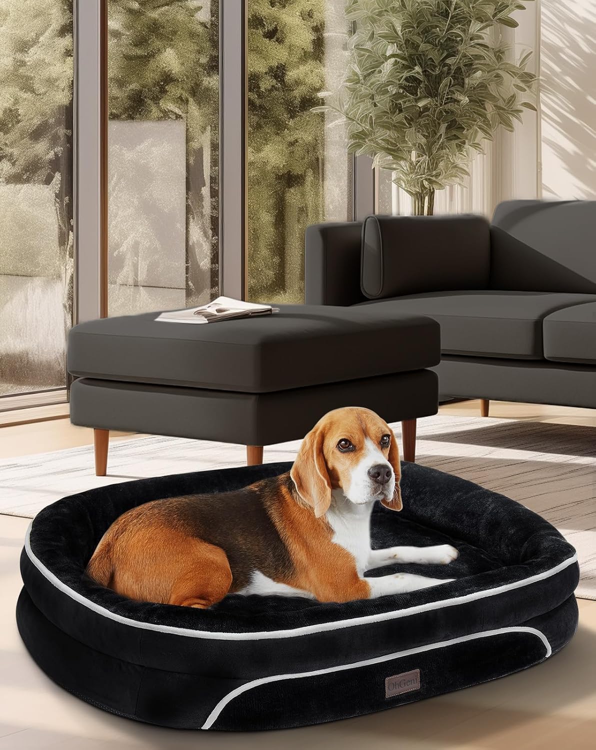 OhGeni Orthopedic Dog Couch Pet Sofa Large Sized Cat Beds with Comfort Foam Support, Soft Comfortable Fabric, Machine Washable Waterproof Removable Cover, 35-Inch (Black)