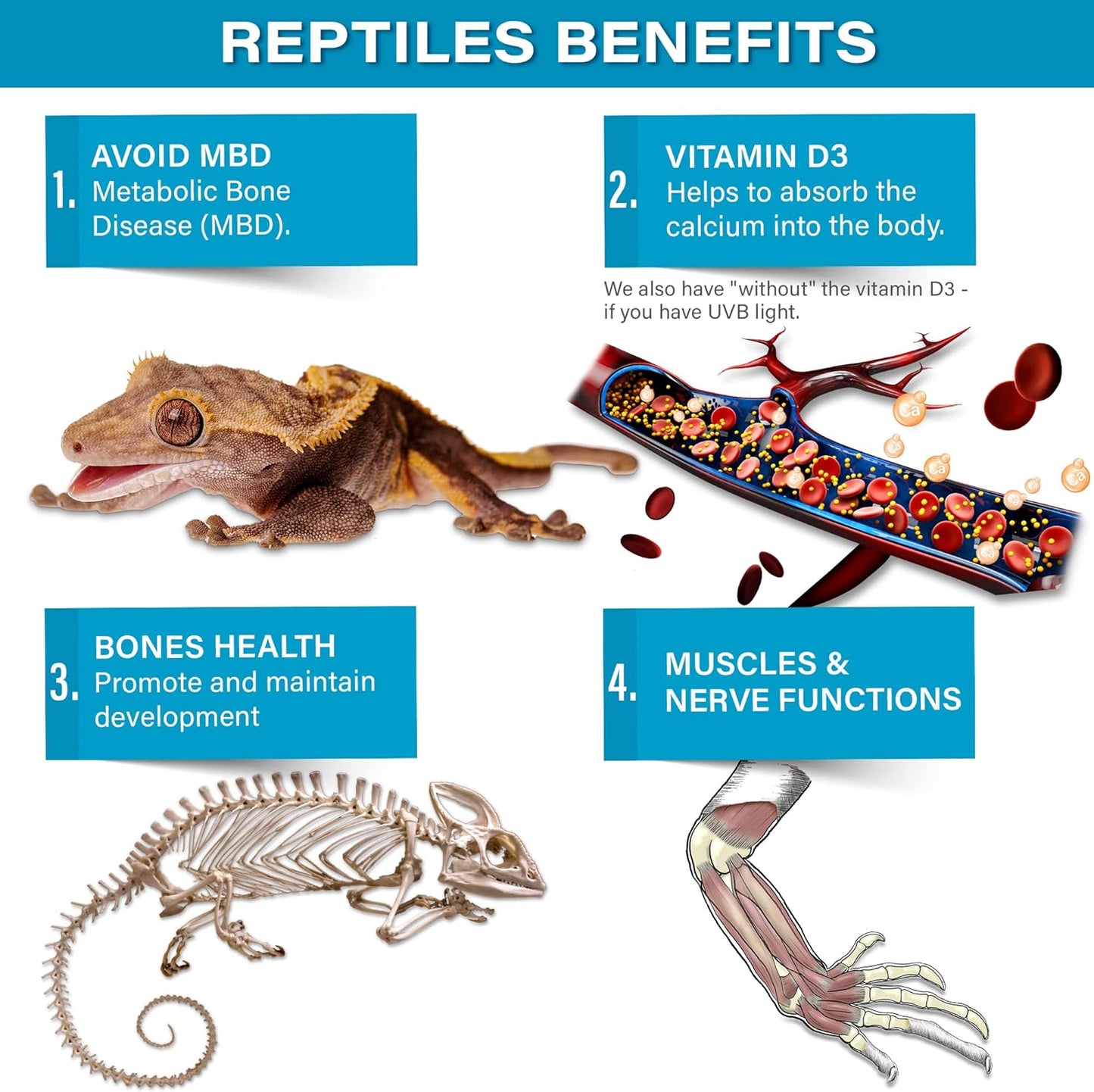 4oz All Reptile Calcium Powder with Vitamin D3, Phosphorus-Free, Ultrafine Powder, Pure Dust & Ready to Use for All Reptiles, Lizards & Amphibians Supplement. Made in The USA. Enjoy !