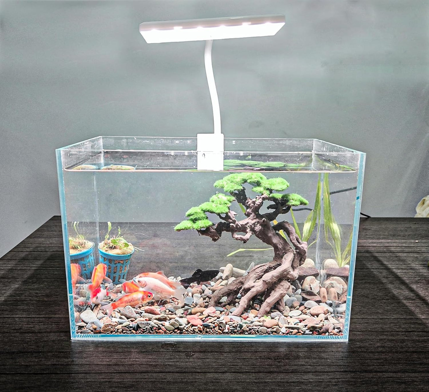 Novelsite Fish Tank Decoration- Cliff Bonsai Trees with Faux Moss- Aquarium Decoration Aqua scaping- Made of Sandstone-Goldfish Betta Fish Tank Decor