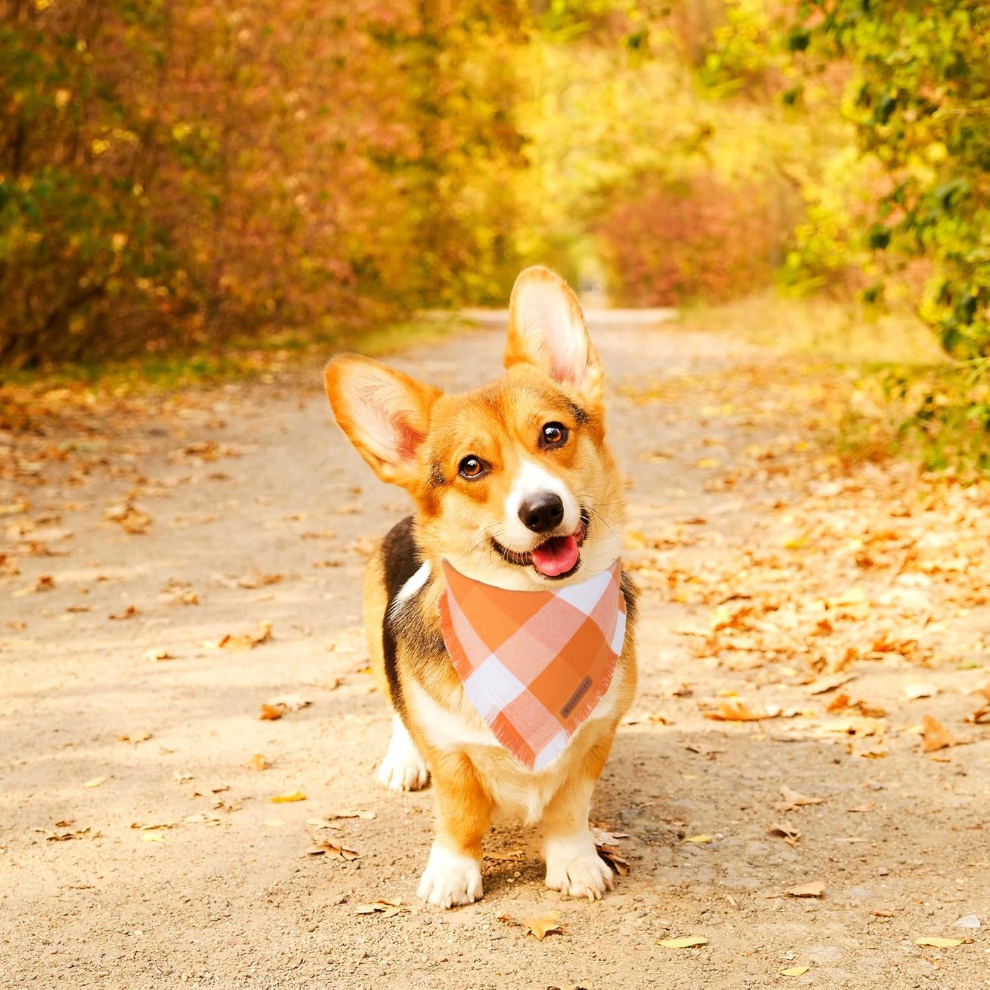 ADOGGYGO Fall Dog Bandanas, Halloween Thanksgiving Pet Bandana, Multiple Sizes Offered, Orange Plaid Fall Holiday Bandana for Small Dogs Pets (Small)