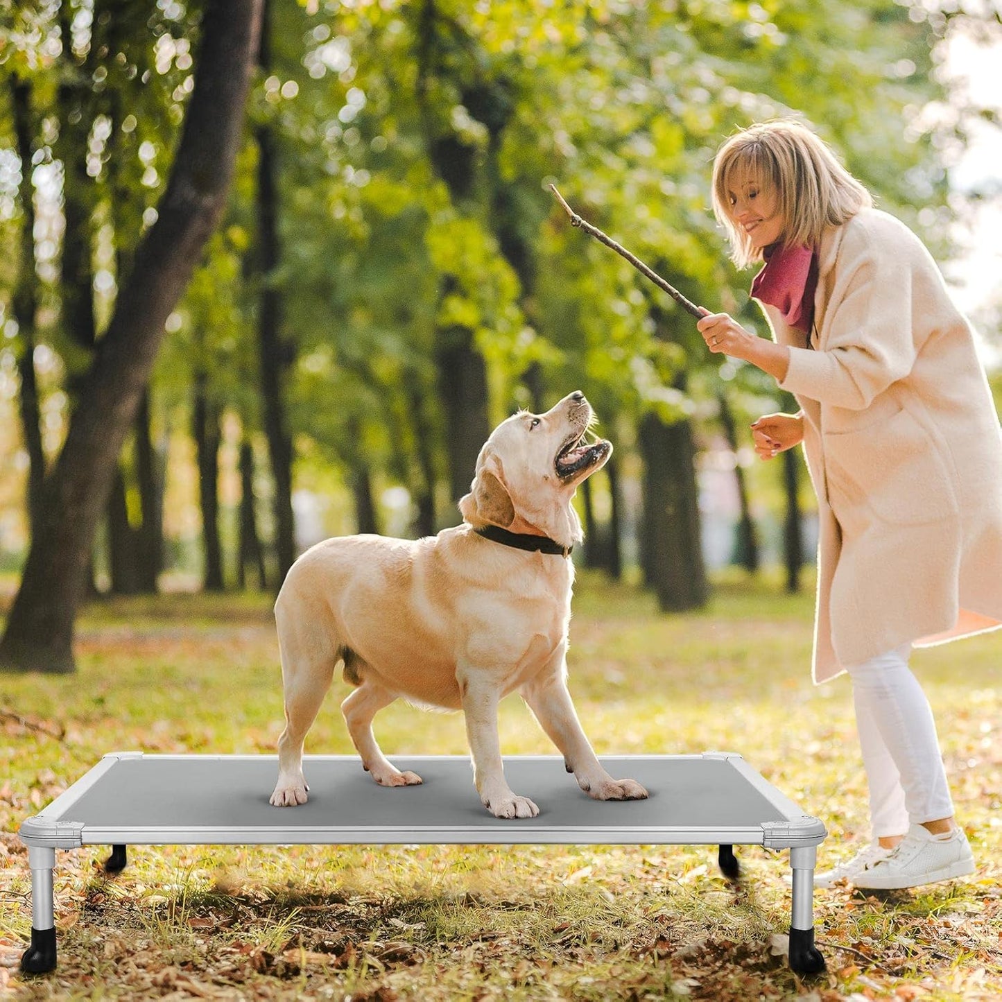 Veehoo Chew Proof Elevated Dog Bed - Cooling Raised Pet Cot - Silver Aluminum Frame and Durable Textilene Mesh Fabric, Unique Designed No-Slip Feet for Indoor or Outdoor Use, Grey, Large, CWC2003