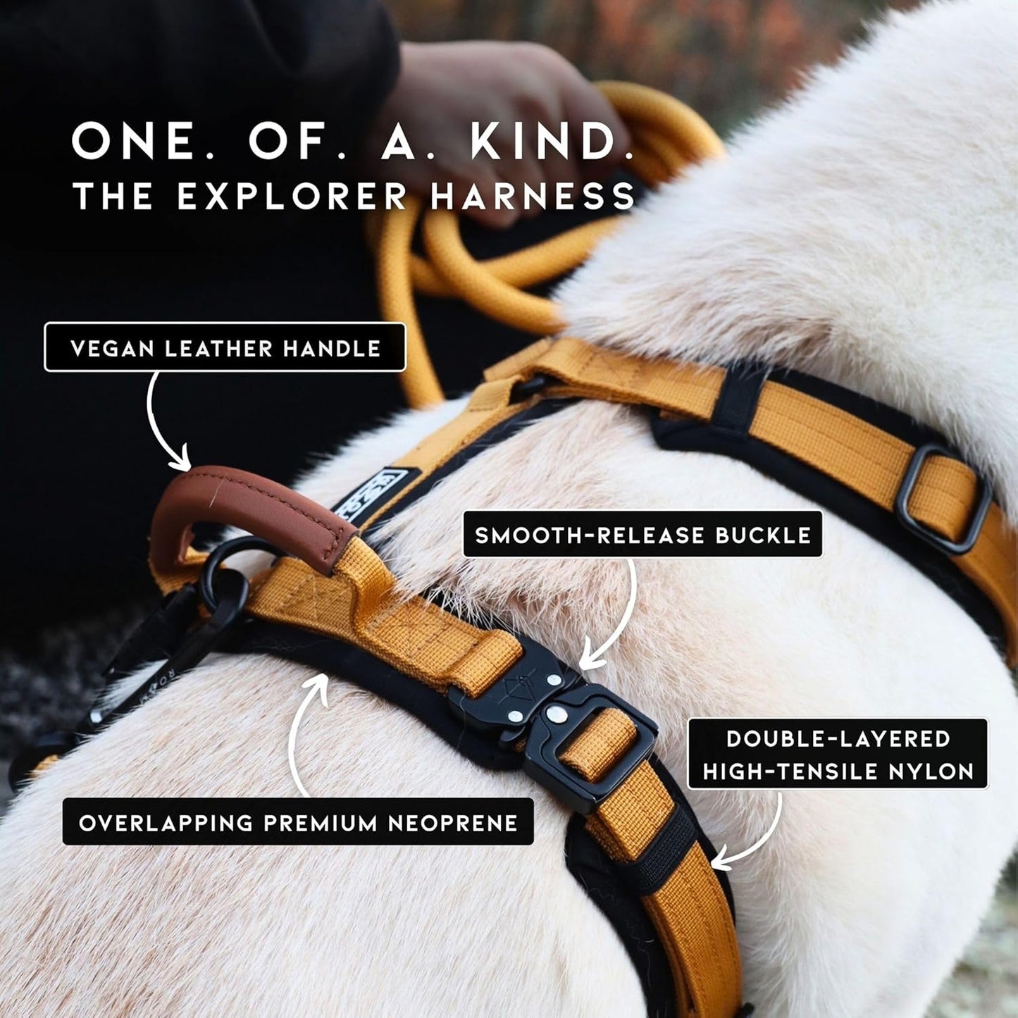 MADE TO ROAM Premium Explorer Harness - Y-Shaped Dog Harness with Adjustable Durable Nylon, Soft Padding, Metal Buckles and Leather Handle for Small, Medium, Large Dogs (Florida Seaside, Size 1)