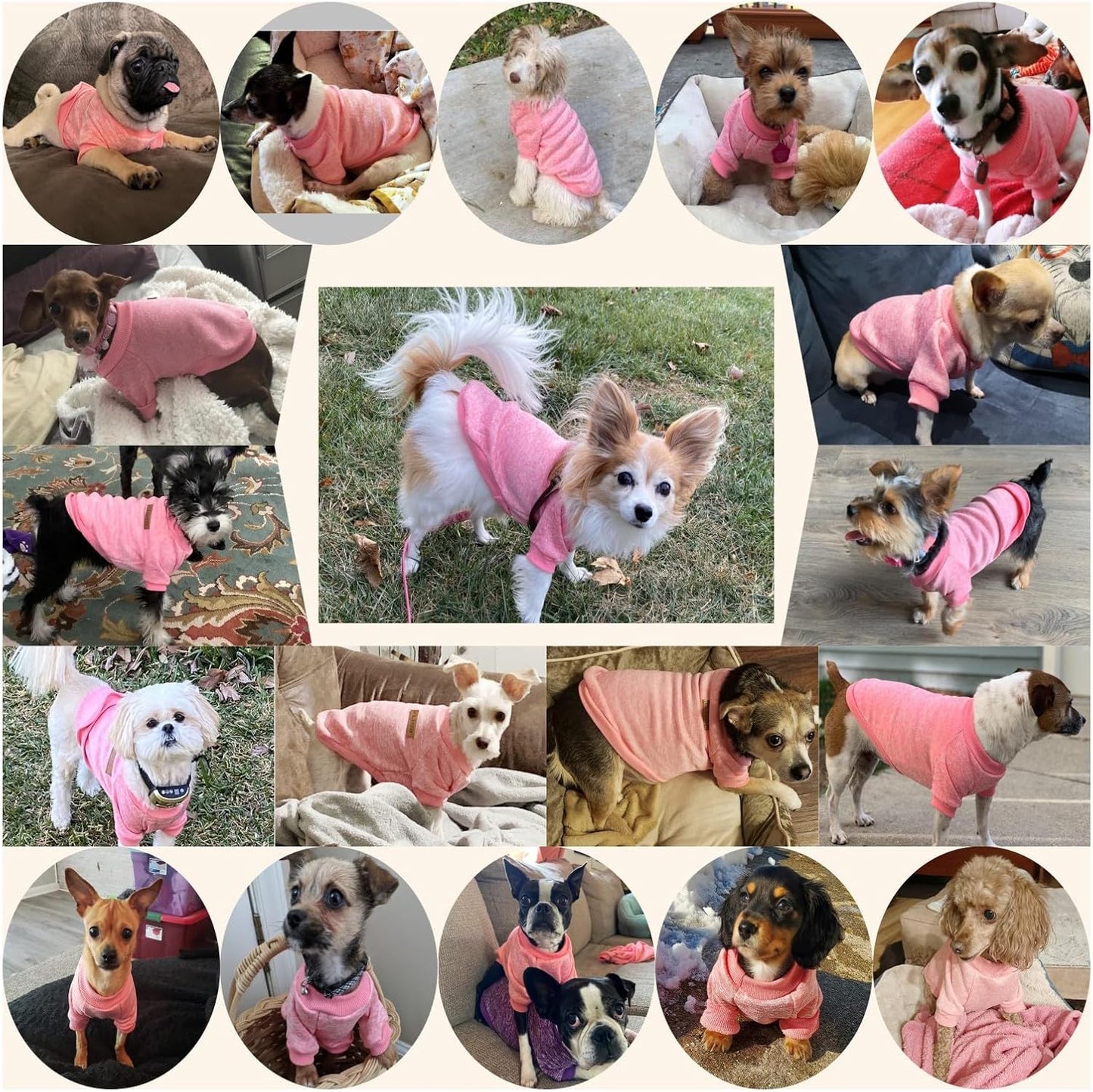 Jecikelon Dog Clothes Dogs Sweater Soft Puppies Clothing Winter Puppy Sweaters Warm Outfit for Dogs Small XXS XS Cat Apparel (Pink, L)