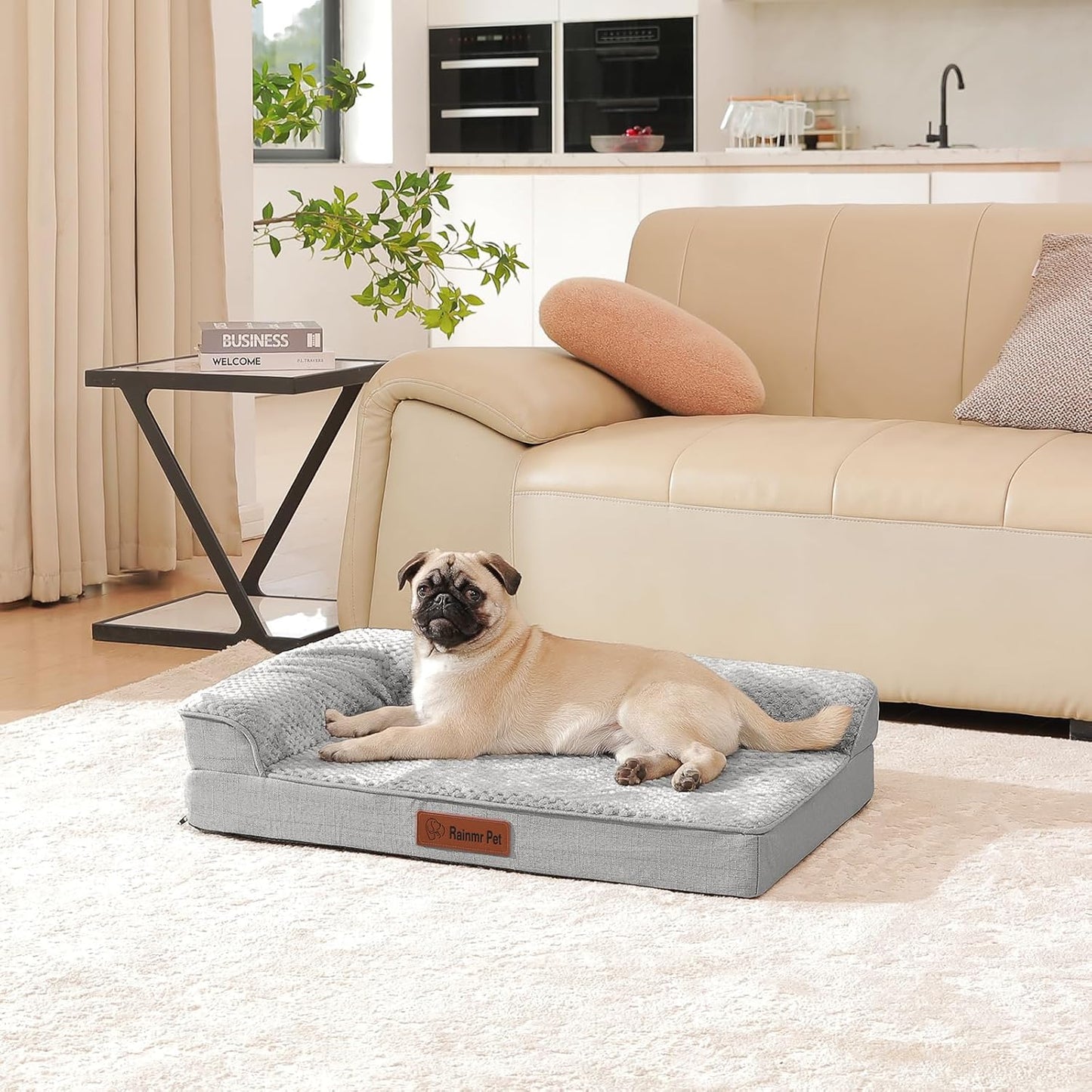Orthopedic Dog Bed, 3 Inch Memory Foam Dog Beds for Small Dogs, Washable Removable Cover, Nonskid Bottom, Waterproof Pet Couch for Indoor, Outdoor or Car Use, 30x20 Inches S Light Grey