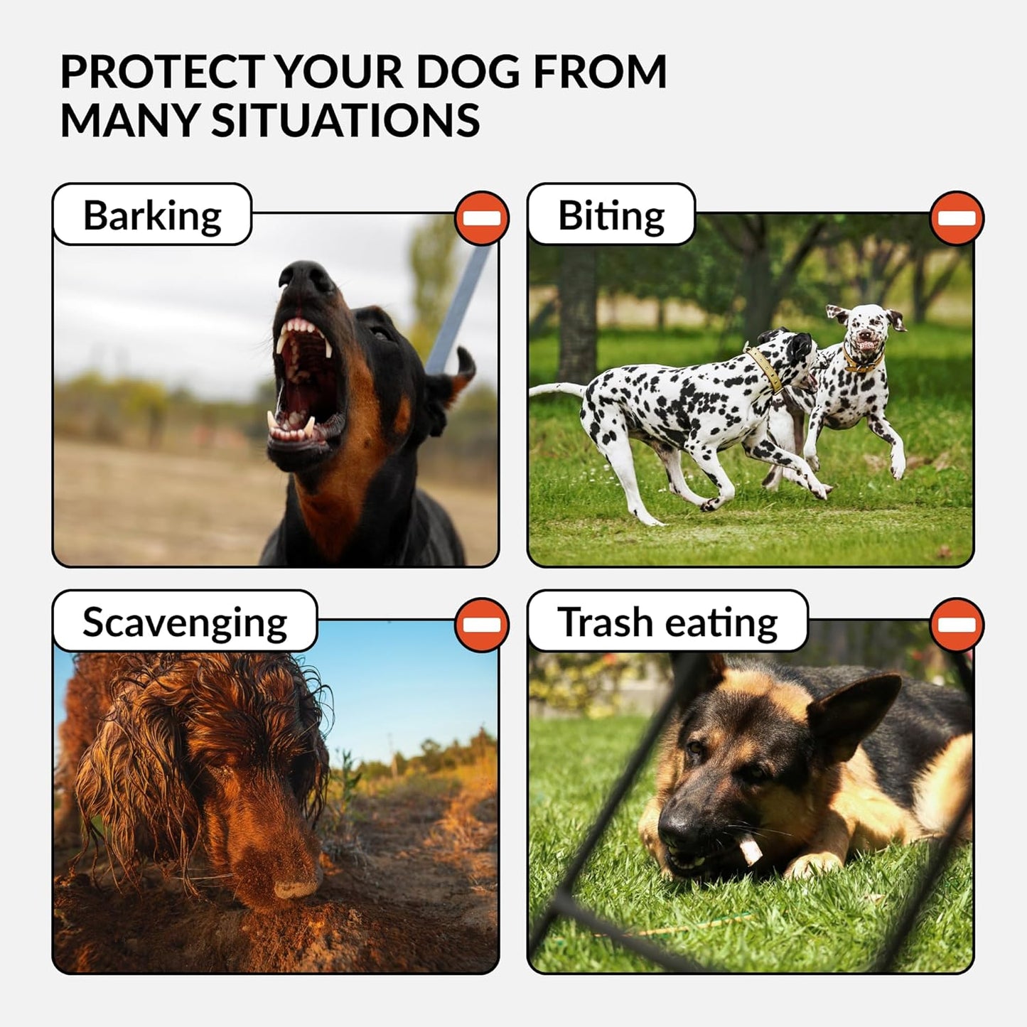 CollarDirect Dog Muzzle German Shepherd Dalmatian Doberman Setter Leather Basket Medium Large Breeds (Chestnut Brown, Medium)