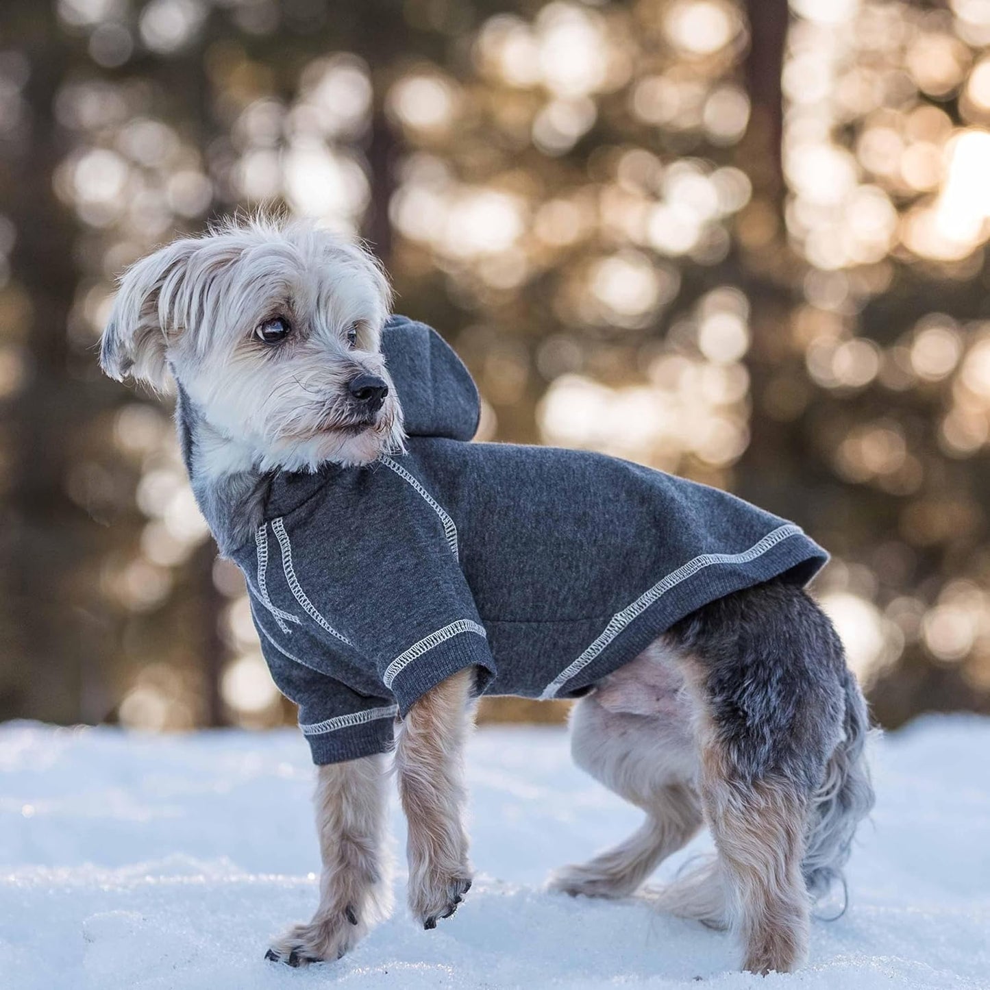 Blueberry Pet Essentials Dog Hoodie – 26 inch, Cotton‑Blend Sweatshirt with Hood, Charcoal Grey, Machine‑Washable Small‑Dog Jersey