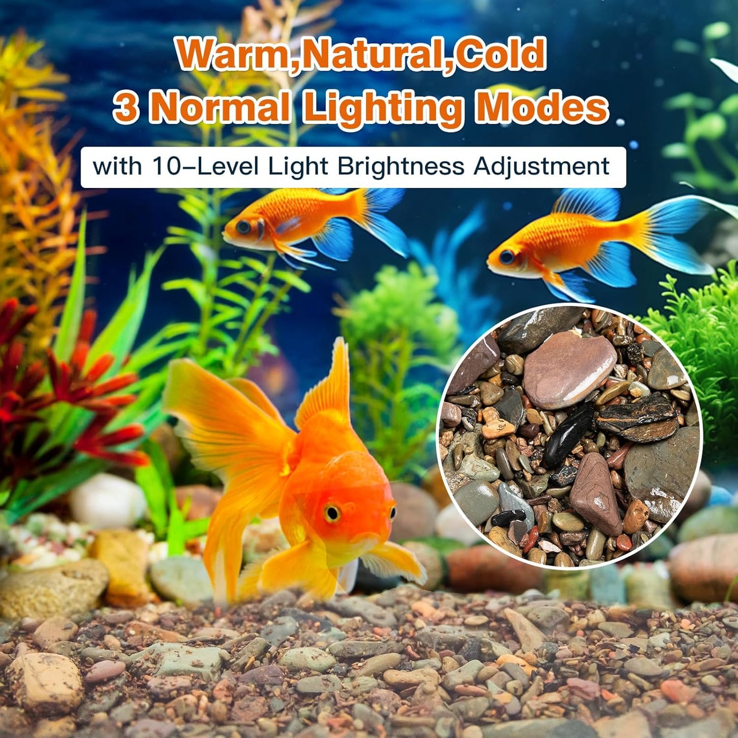 WDEFUN 10 LBS Aquarium Gravel River Rock Stones, Natural Decorative Polished Mixed Colorfl Gravel,Outdoor Decorative Stones for Plant Aquariums, Landscaping, Vase Fillers