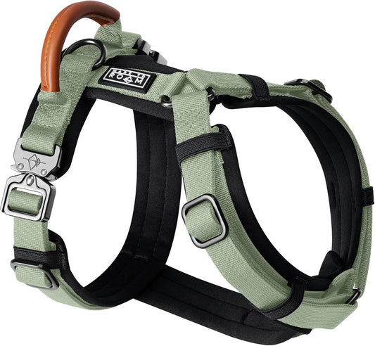 MADE TO ROAM Premium Explorer Harness - Y-Shaped Dog Harness with Adjustable Durable Nylon, Soft Padding, Metal Buckles and Leather Handle for Small, Medium, Large Dogs (Washington Rain, Size 2)