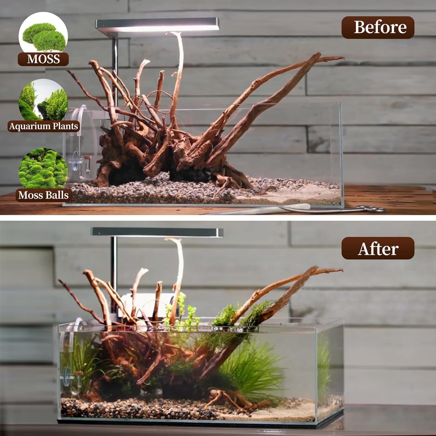 majoywoo Natural Driftwood for Aquarium Decor Fish Tank Decorations, Assorted Spider Wood Branch 7-11" 3 Pcs, Reptile Decor