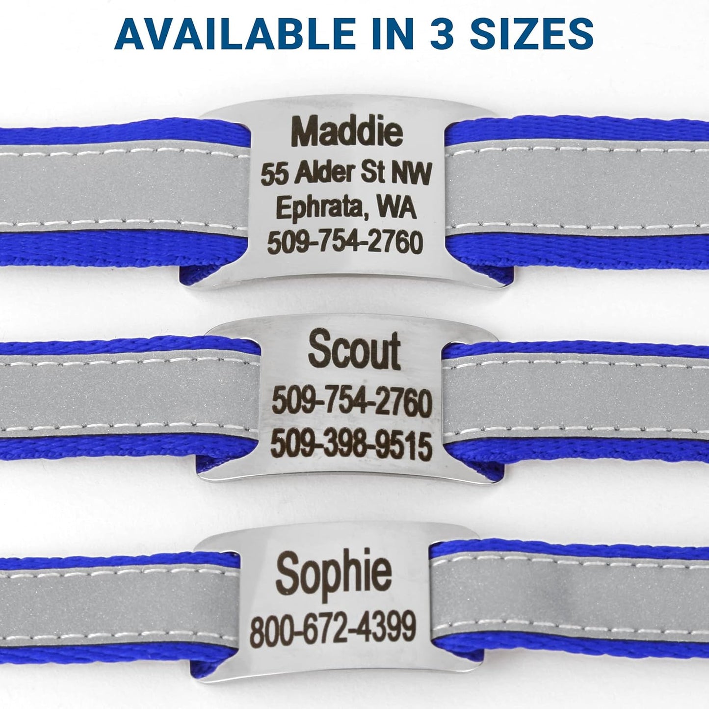 GoTags Reflective Personalized Dog Collar with Nameplate, Adjustable Dog Collar with Custom Engraved Steel Slide On Pet ID Tag, Silent, No Noise Dog Tag for Large Medium or Small (Blue, Small)