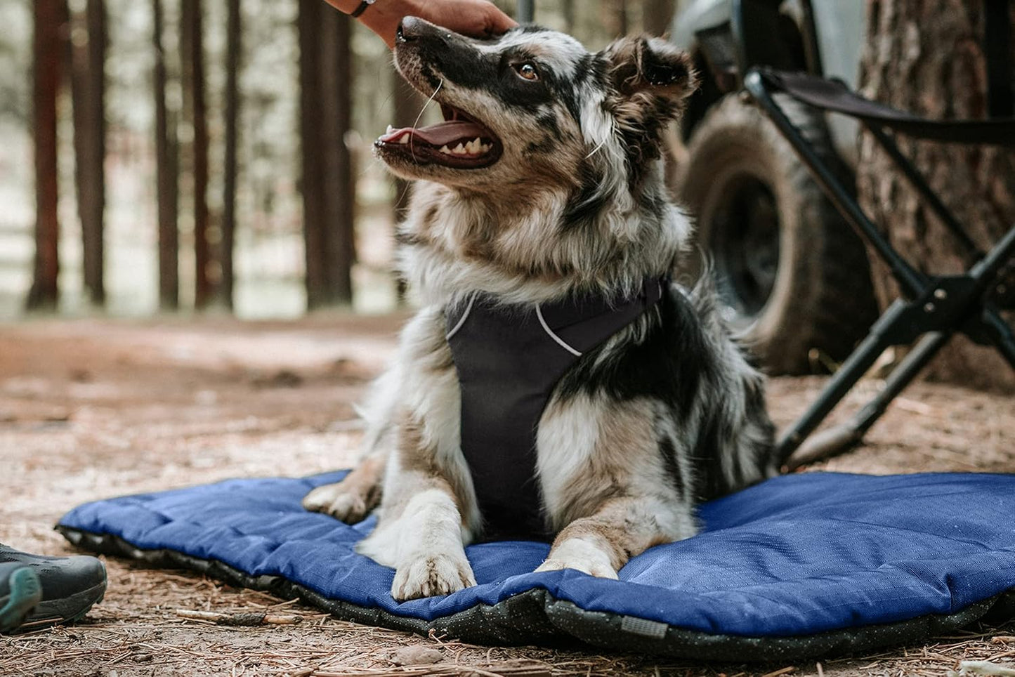 K9 Ballistics Tough Ripstop Dog Crate Pad - Durable & Machine Washable with Non-Skid Bottom and 120-Day Warranty, Fits 36" Wire Crates - Medium, Light Gray Velvet