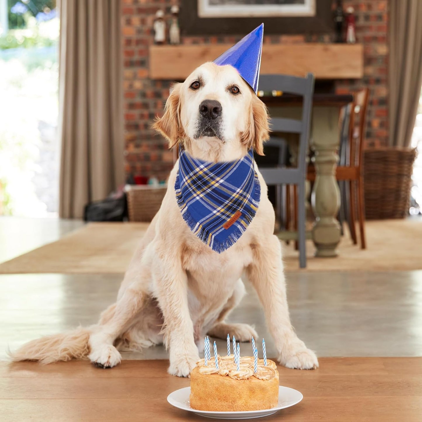 ADOGGYGO Dog Bandanas Boy with Tassels Edges, Stylish Blue Plaid Pet Scarf, Soft Cotton Fabric, Adjustable Reversible Plaid Bandanas for Medium Large Dogs (Large)