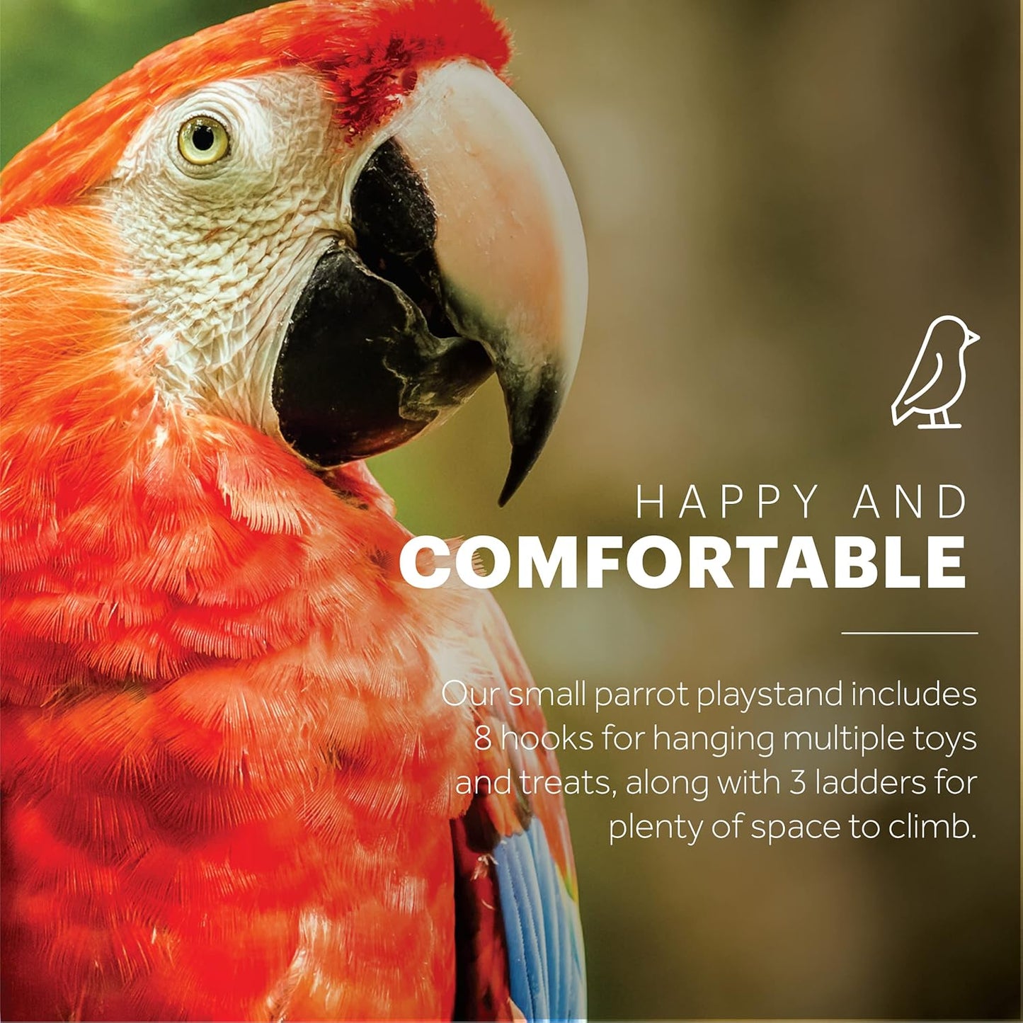 Prevue Pet Products Small Parrot Playstand with Wheels, Bird Stand Activity Play Center with Perches and Ladders, Indoor Outdoor Playground for Birds with Swing, Black Hammertone Finish