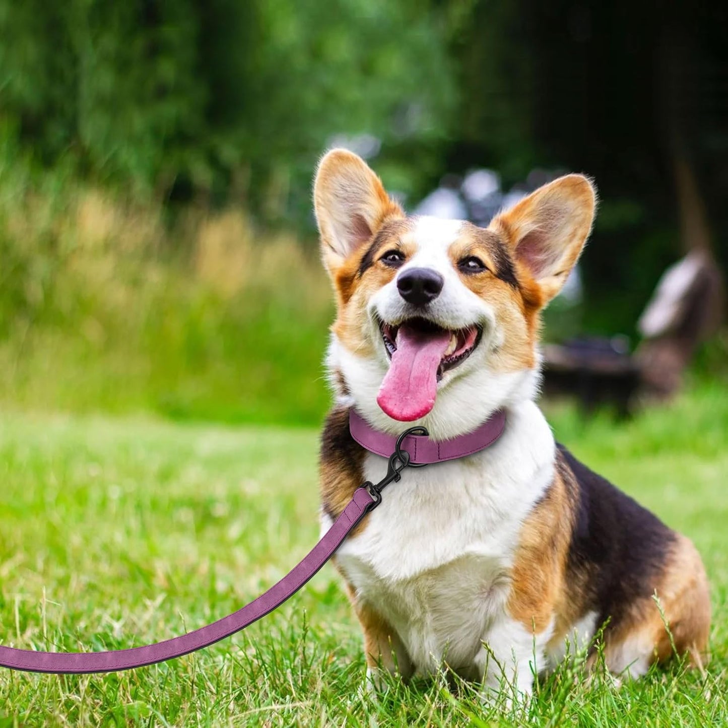 Didog Soft Padded Leather Dog Collar and Leash Set, Heavy Duty Dog Leash and Collar Set with Metal Buckle, Breathable Dog Collars with 4FT Leather Dog Leash for Small Medium Large Dogs, Purple, XL