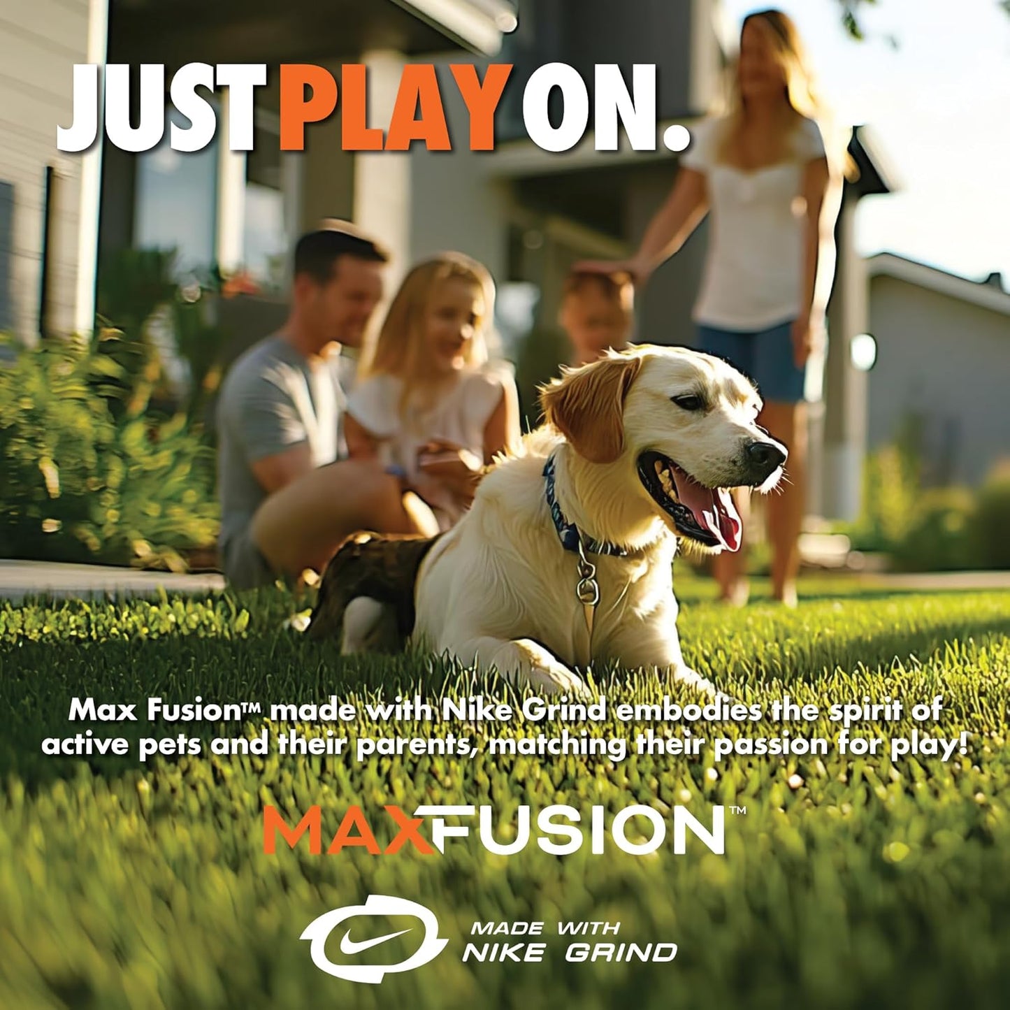 Max Fusion with Nike Grind, Arlee Gyro Treat Dispensing Dog Toy, Durable Dog Treat Toy, L