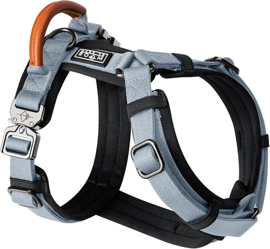 MADE TO ROAM Premium Explorer Harness - Y-Shaped Dog Harness with Adjustable Durable Nylon, Soft Padding, Metal Buckles and Leather Handle for Small, Medium, Large Dogs (Virginia Mountains, Size 6)
