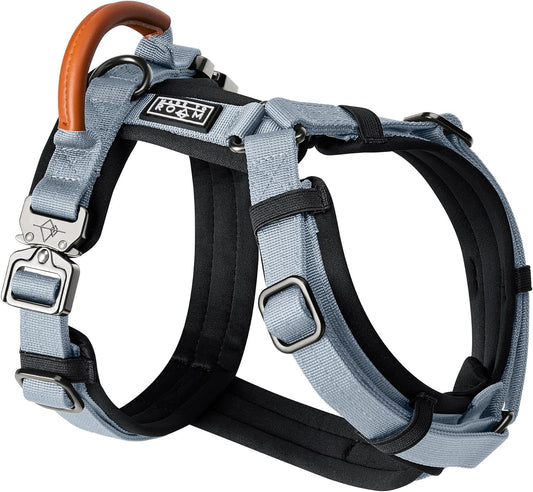 MADE TO ROAM Premium Explorer Harness - Y-Shaped Dog Harness with Adjustable Durable Nylon, Soft Padding, Metal Buckles and Leather Handle for Small, Medium, Large Dogs (Virginia Mountains, Size 4)