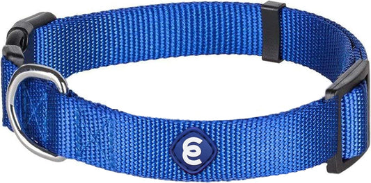Blueberry Pet Essentials Medium Dog Collar in Royal Blue | Adjustable & Eco-Friendly Durable Nylon Strap | Classic Collar for Medium Dogs, Boy & Girl Pets