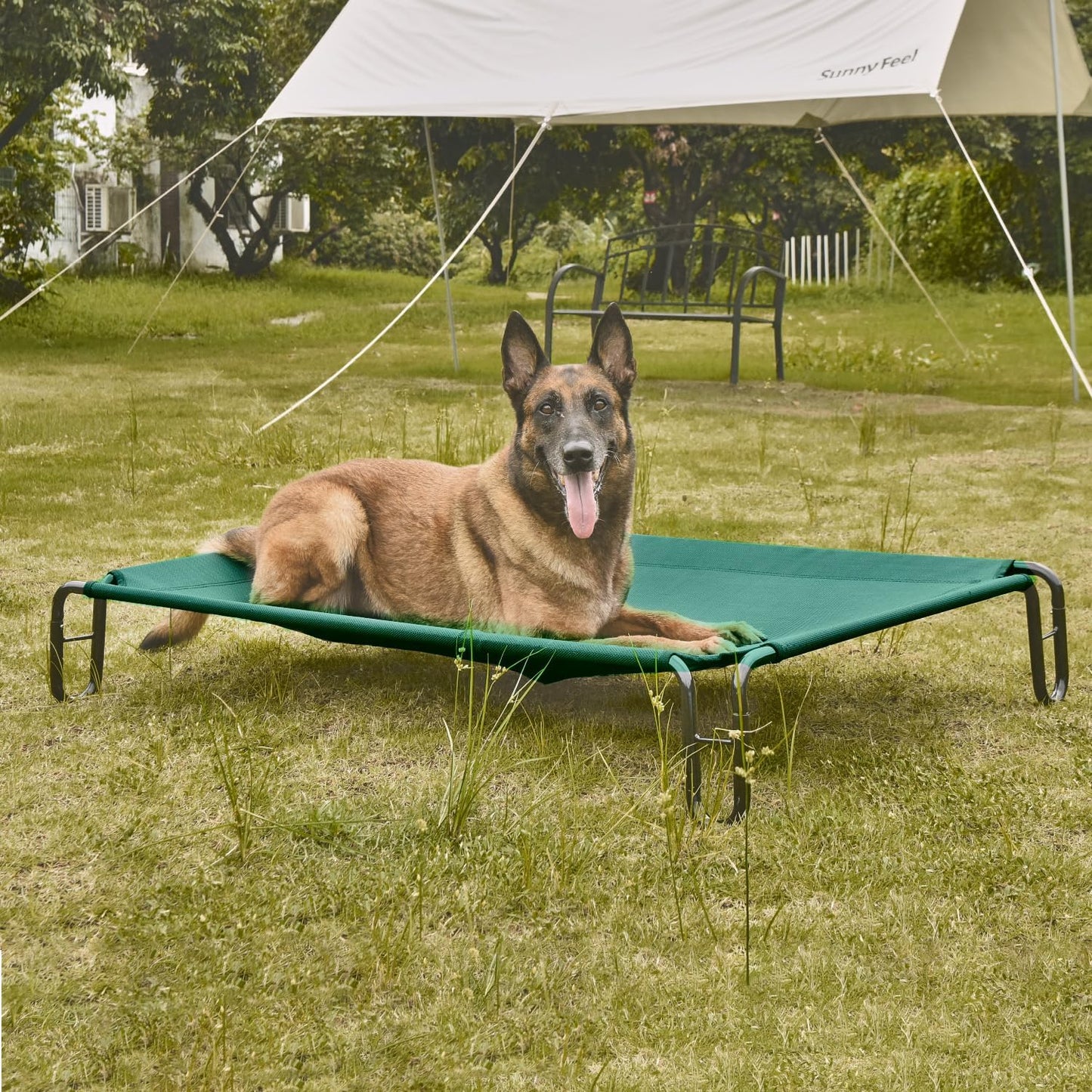 pettycare Elevated Outdoor Dog Bed - Raised Cots Bed for Large Dogs, Waterproof Pet Hammock Easy to Assemble, Cooling Frame Cot with Breathable Teslin Mesh, Durable, Non Slip, Up to 65 lbs,Green