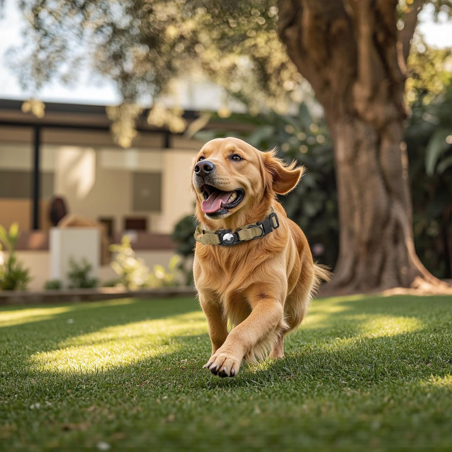 Tactical AirTag Dog Collar Leash Set - Heavy Duty, Adjustable GPS Collar Compatible with Apple AirTag, with Holder & Control Handle for Medium/Large Dogs [Brown, XL]