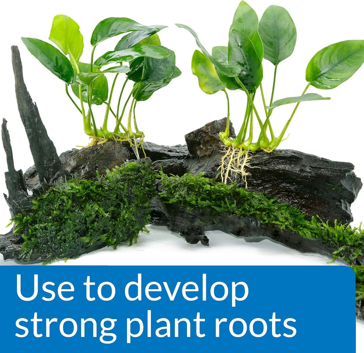 API ROOT TABS Freshwater Aquarium Plant Fertilizer 0.4-Ounce 10-Count Box