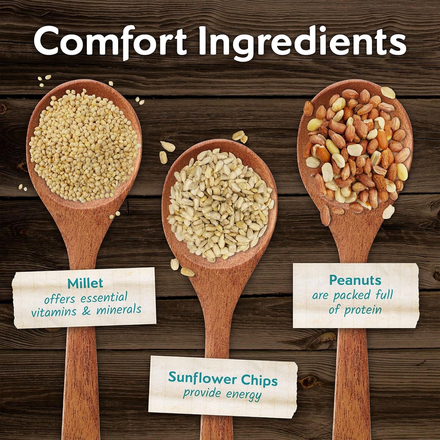 Morning Song Clean & Free No Mess Wild Bird Seed – 12 lb. Shell-Free Bird Food Blend with Sunflower Chips, Peanuts & Canary Seed – No Waste Bird Food for Outside Feeders