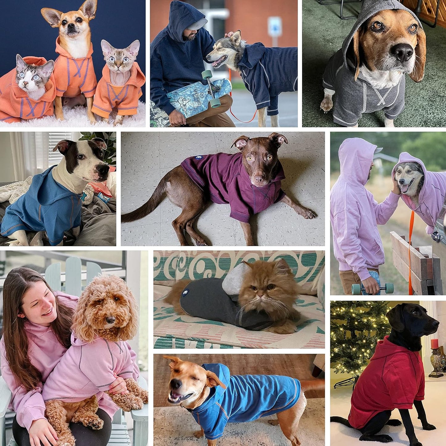 Blueberry Pet Hoodie – 14″ Soft Cotton‑Blend Winter Sweatshirt, Coral, Award‑Winning Small‑Dog Jersey
