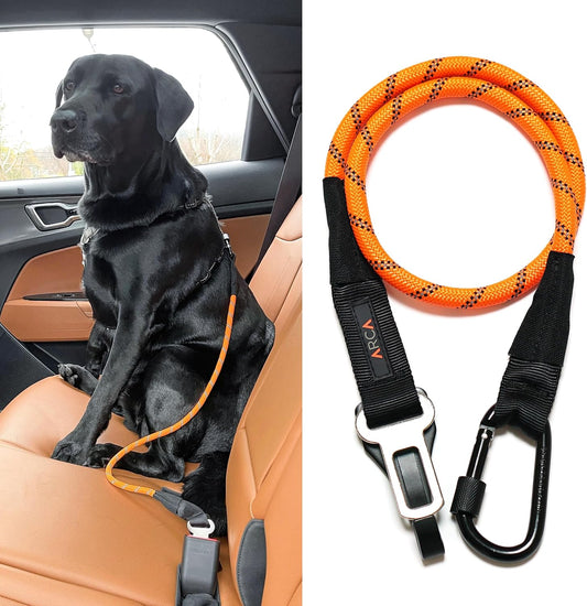 Dog Seat Belt for Car | Universal Dog Car Seatbelt | Durable Reflective Rope with Clip Hook Latch, Buckle and Carabiner- Safe and Secure Pet Safety Restraint (Orange)