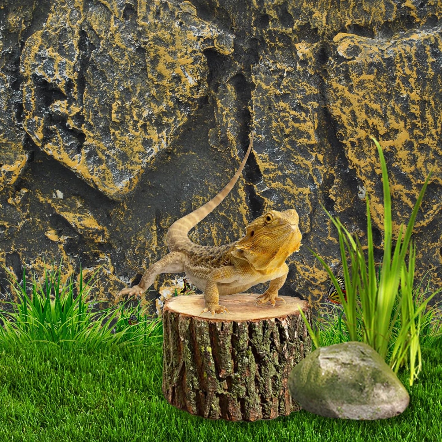 PINVNBY Rock Terrarium Background,3D Bearded Dragon Tank Backgrounds Wall Reptile Stereo Backdrop Amphibian Habitat Climbing Board Decoration Aquarium Background Decor for Reptiles Lizard Fish Frog