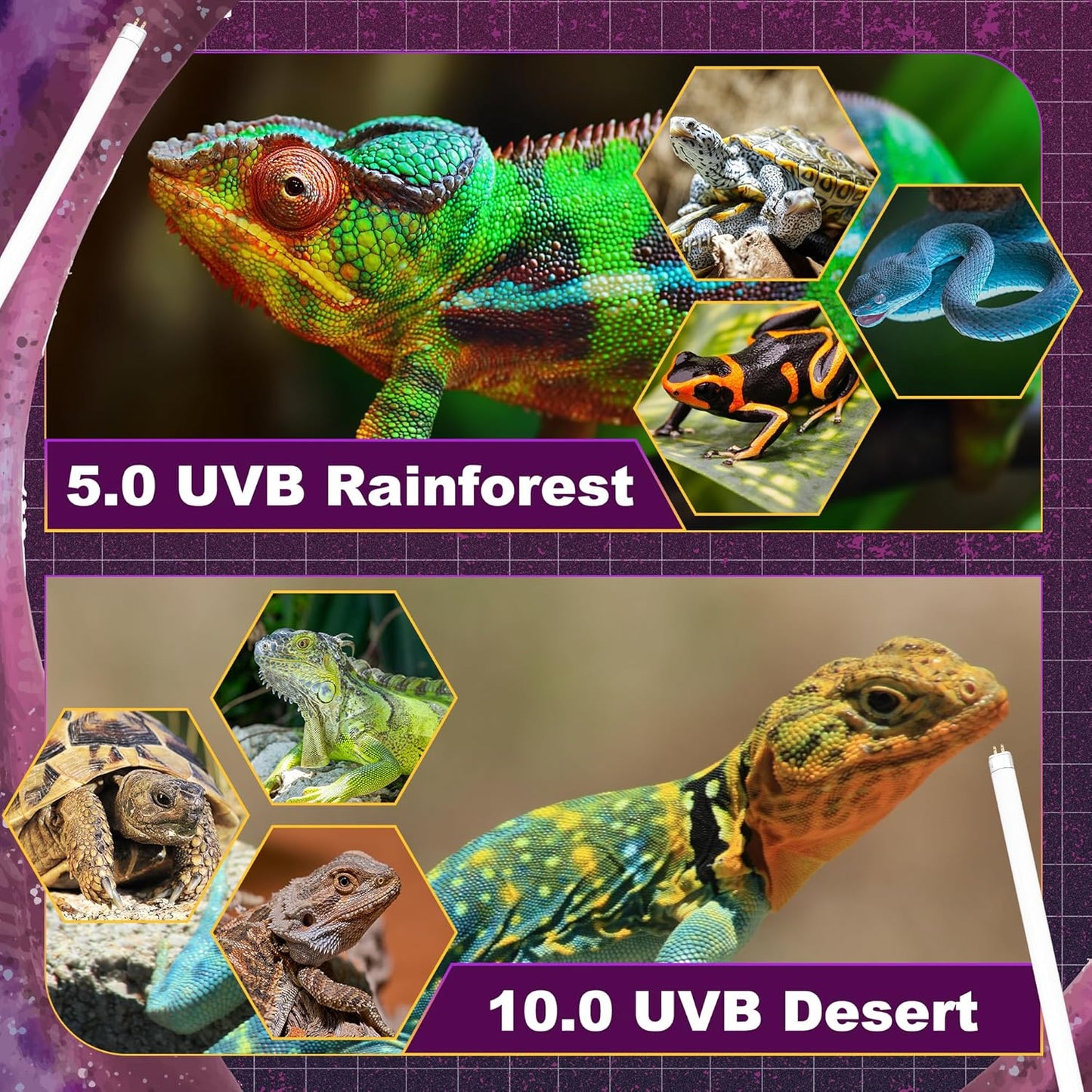 10.0 UVB Light for Reptiles, T5 HO 39 Watt Reptile Lamp Tube, Pack of 2 Fluorescent UVB Bulb, Basking Light for Bearded Dragon, Simulate Natural Sunlight for Reptiles and Amphibians