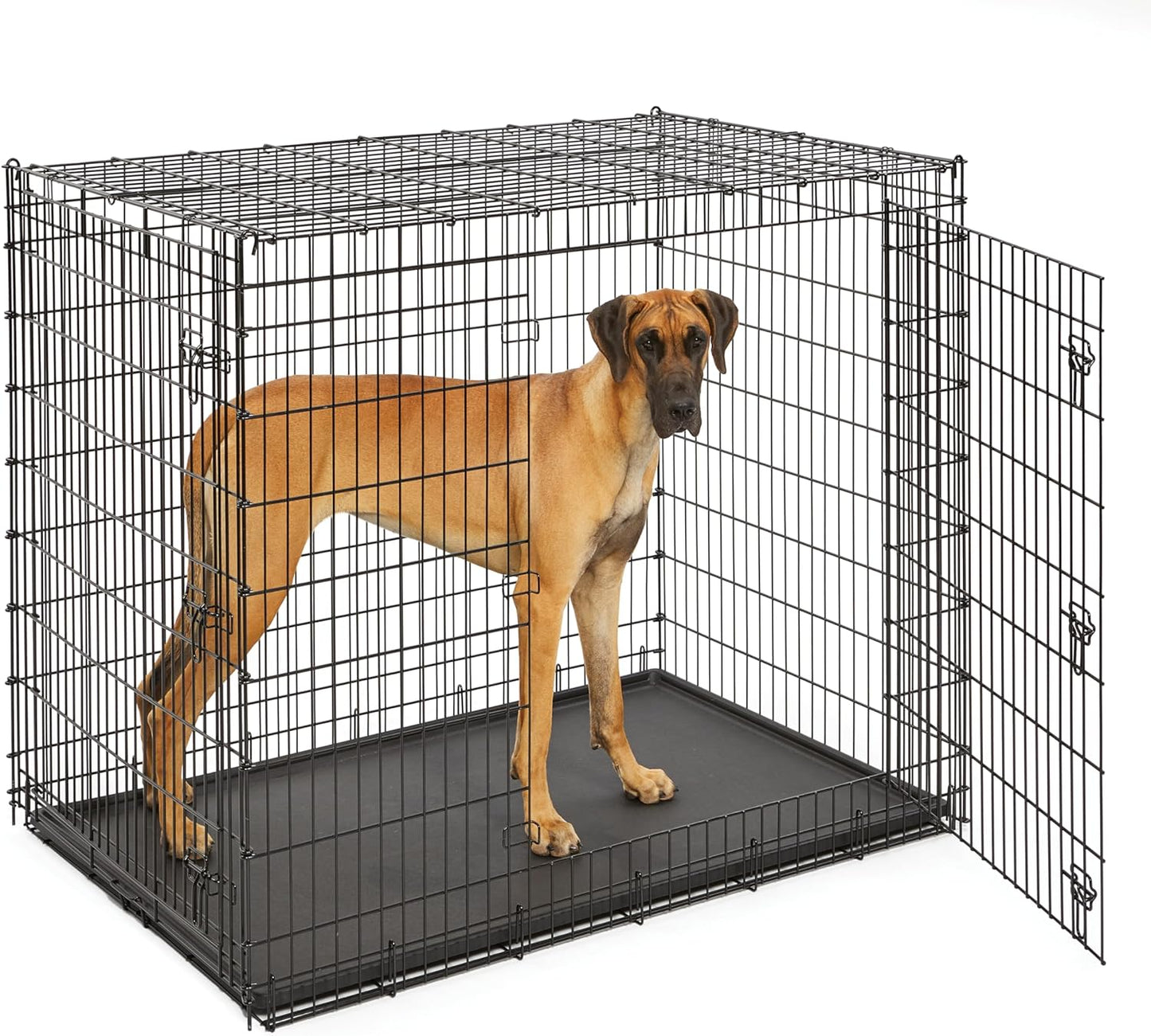 MidWest Homes for Pets Solutions Series XXL Double Door 54-Inch Dog Crate for the Largest Breeds, Sturdy Drop Pin Assembly, Black E-Coated, SL54DD