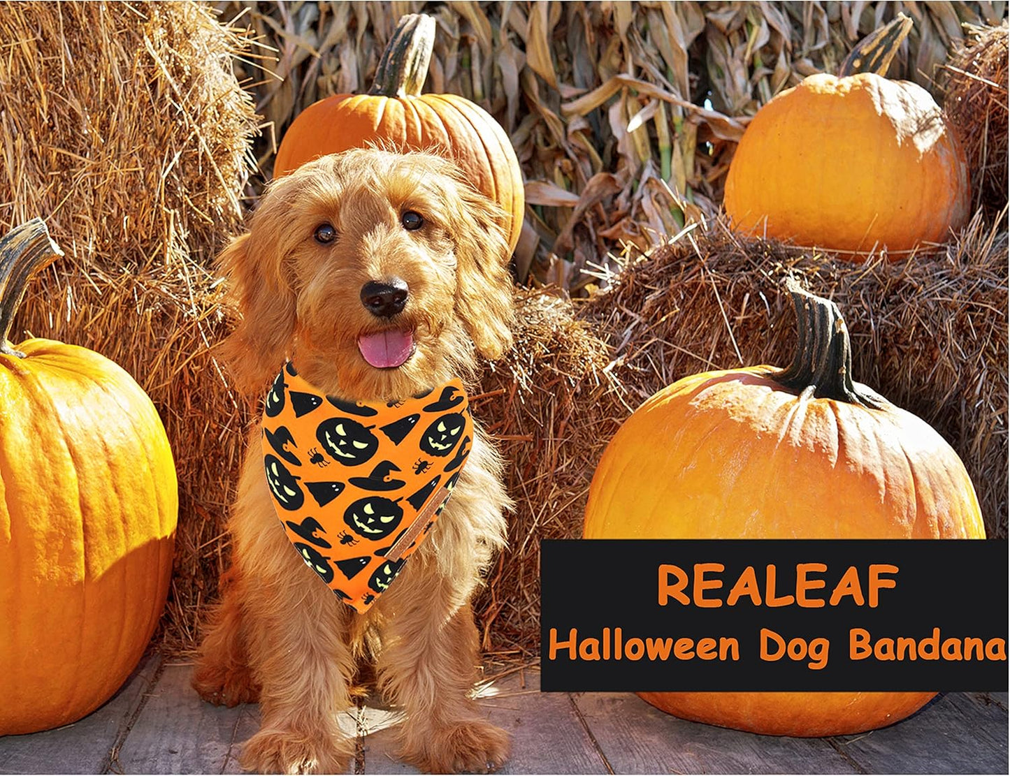 Realeaf Halloween Dog Bandanas 2 Pack, Pumpkin and Spider Web Bibs, Triangle Reversible Fall Pet Scarf, Premium Durable Fabric, Adjustable Fit (Large)